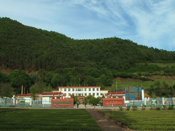 �����ֳ�