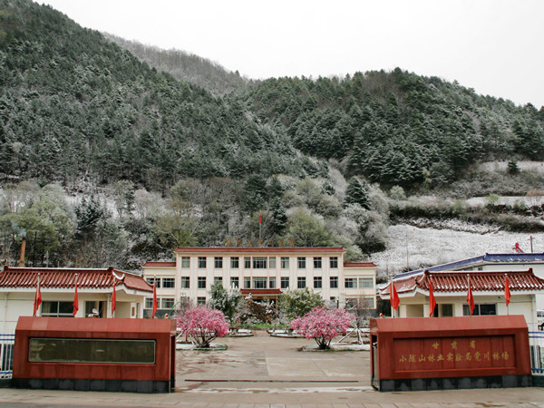 �����ֳ�