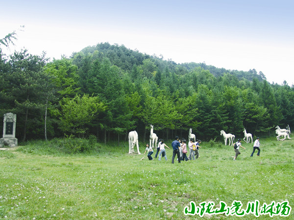 �˿�����