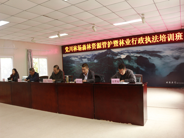 ������ʽ