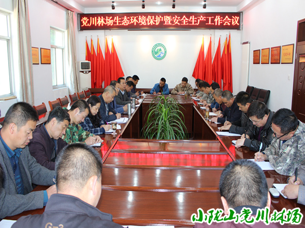 生态环境保护暨安全生产工作会议现场