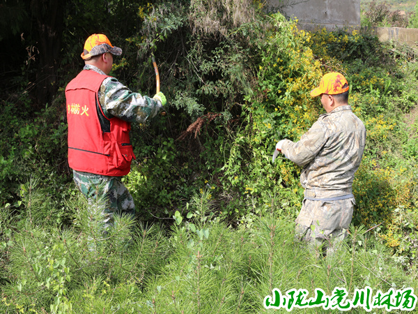 割除地边影响苗木生长的杂灌