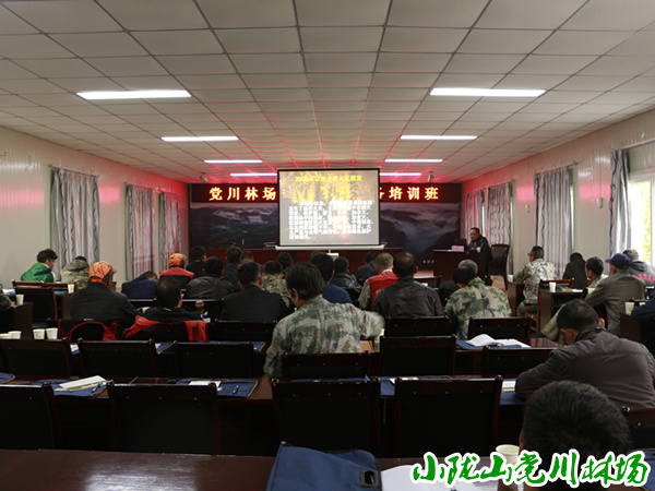 场防火办精心授课