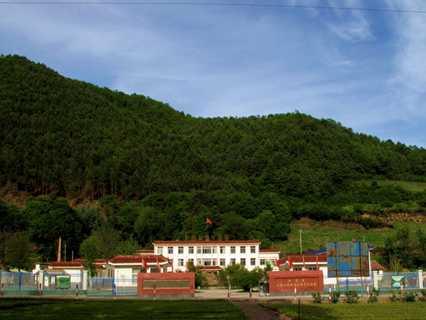 �����ֳ�